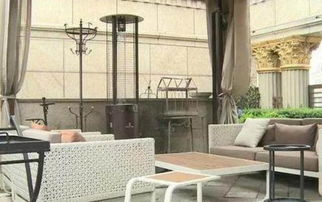 参观张庭在上海的豪宅 坐落在黄浦江边,家里的院子都几百平米